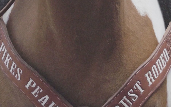 Pikes Peak or Bust Rodeo