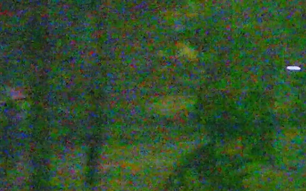 1 BCT IN DEVIL AVALANCHE