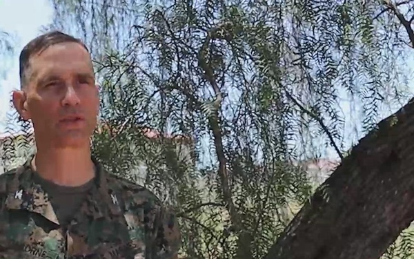 B-Roll: Col. William V. Osborne Interview