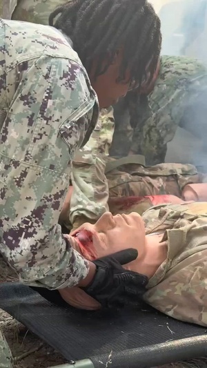 Joint Forces in Action: Navy Reserve Medical Training at Fort Drum