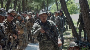 2/23 Marines and ROK Marines Conduct Bilateral Patrol Training during KMEP 25.2