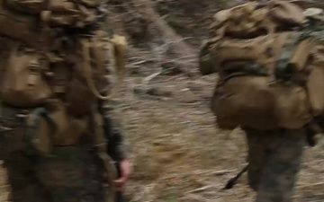 3d Intelligence Battalion Marines emplace sensors at Jungle Warfare Training Center