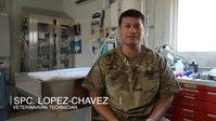 Army Vet Tech Trains Service Members in K-9 Tactical Combat Casualty Care