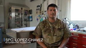 Army Vet Tech Trains Service Members in K-9 Tactical Combat Casualty Care