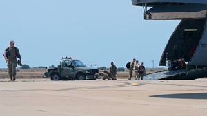 12th Air Task Force Airmen transfer cargo during exercise Bamboo Eagle 25-3 (B-Roll)