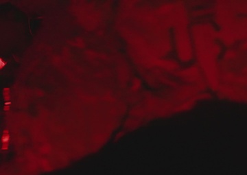 USASOC Best Squad Competition Land Navigation Course