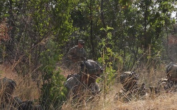 Charlie Company, 2nd Battalion, 502nd Infantry Regiment, CALFX at Novo Selo Training Area, Bulgaria