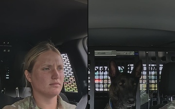 From Kennel to Couch: MWD Cchango and Nero Retire After Distinguished Service