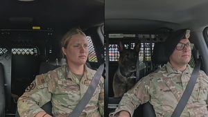 From kennel to couch: MWD Cchango and Nero retire after distinguished service