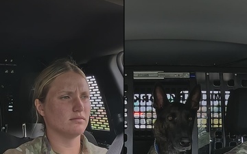 From kennel to couch: MWD Cchango and Nero retire after distinguished service