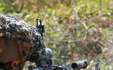 2nd Battalion, 502nd Infantry Regiment Conducts Live Fire Exercise in Bulgaria (Reel)