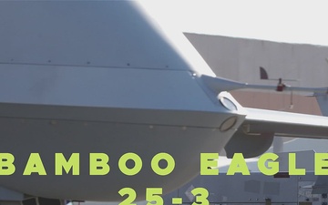 432nd Wing Deploys MQ-9 Reapers to Naval Base Ventura County for Bamboo Eagle 25-3