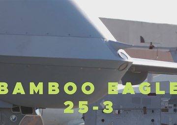 432nd Wing Deploys MQ-9 Reapers to Naval Base Ventura County for Bamboo Eagle 25-3
