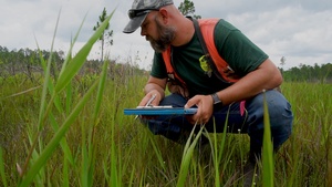 Rapid Wetland Assessment | Wet Pine Flatwood