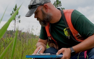 Rapid Wetland Assessment | Wet Pine Flatwood