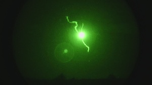 2nd Battalion, 7th Infantry Regiment: Night CALFEX