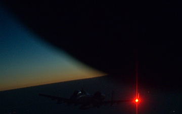 DAWN HOGS