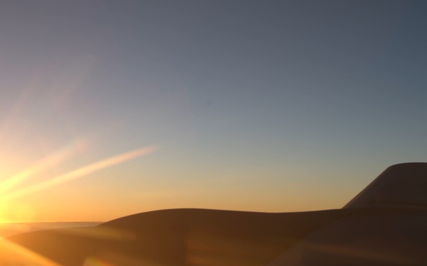 Flare Eagles Full Length