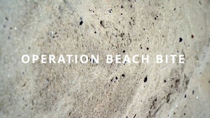 Operation Beach Bite - SBD3
