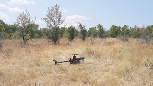 Multi-Purpose Company, 1st Battalion, 26th Infantry Regiment, Operate drones During CALFX