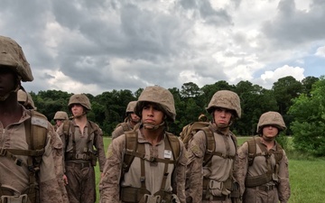 Lima Company Crucible