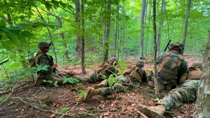 1st Battalion, 24th Marines Assault Objective During Northern Strike 25-2