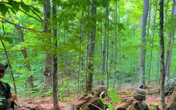 1st Battalion, 24th Marines Assault Objective During Northern Strike 25-2