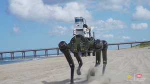 Sand Hound