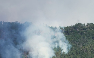 Our Forest Bill is Due