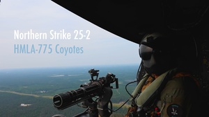Coyotes conduct close air support at Northern Strike 25-2