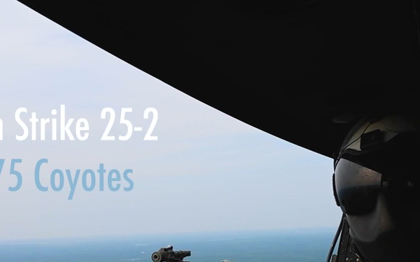Coyotes conduct close air support at Northern Strike 25-2