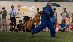 Reel: SETAF-AF celebrates military working dogs [Social Media | 9:16]