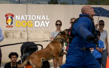 Reel: SETAF-AF celebrates military working dogs [Social Media | 9:16]