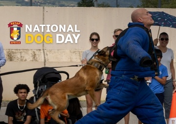 Reel: SETAF-AF celebrates military working dogs [Social Media | 9:16]