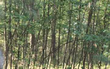 USAREUR-AF Medical Lane