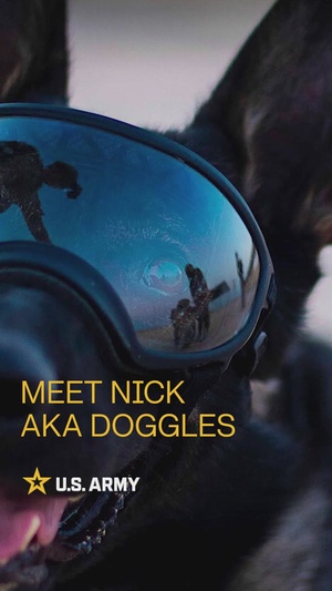 Meet Doggles