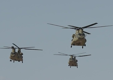 Lethality - Chinooks