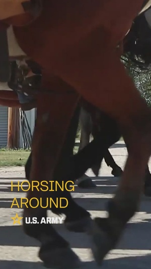 Mounted Color Guard