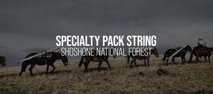 Trailblazers: Meet the Heroes of the Forest Pack String