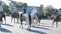 2025 Cattle Drive