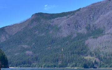 Willamette National Forest Drone - Highlight Reel