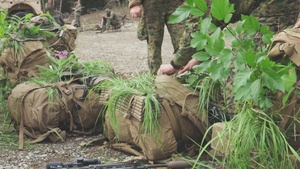 B-Roll: U.S. Marines with 3rd Bn., 4th Marines, conduct patrol base operations training during Arctic Edge 25