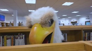 Checking out a Book at the Spangdahlem Library PSA