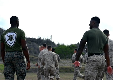 Stronger together: Joint service members train in MCMAP
