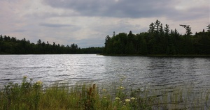 Ottawa National Forest - McCormick Wilderness Timelapse