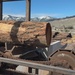 Tahoe Forest Products - Highlight Reel