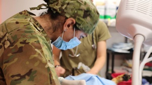 3d Theater Medical Command Soldiers provide veterinary services during Health Broome