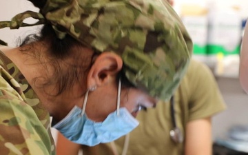 3d Theater Medical Command Soldiers provide veterinary services during Health Broome