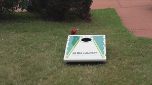2025 Organization Day Corn Hole Video