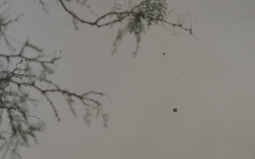 Patriot Live Fire Exercise, 32d AAMDC